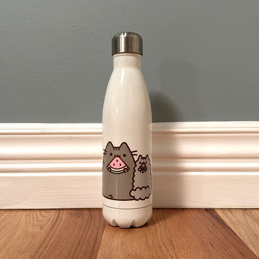 Pusheen and Stormy watermelon water bottle!